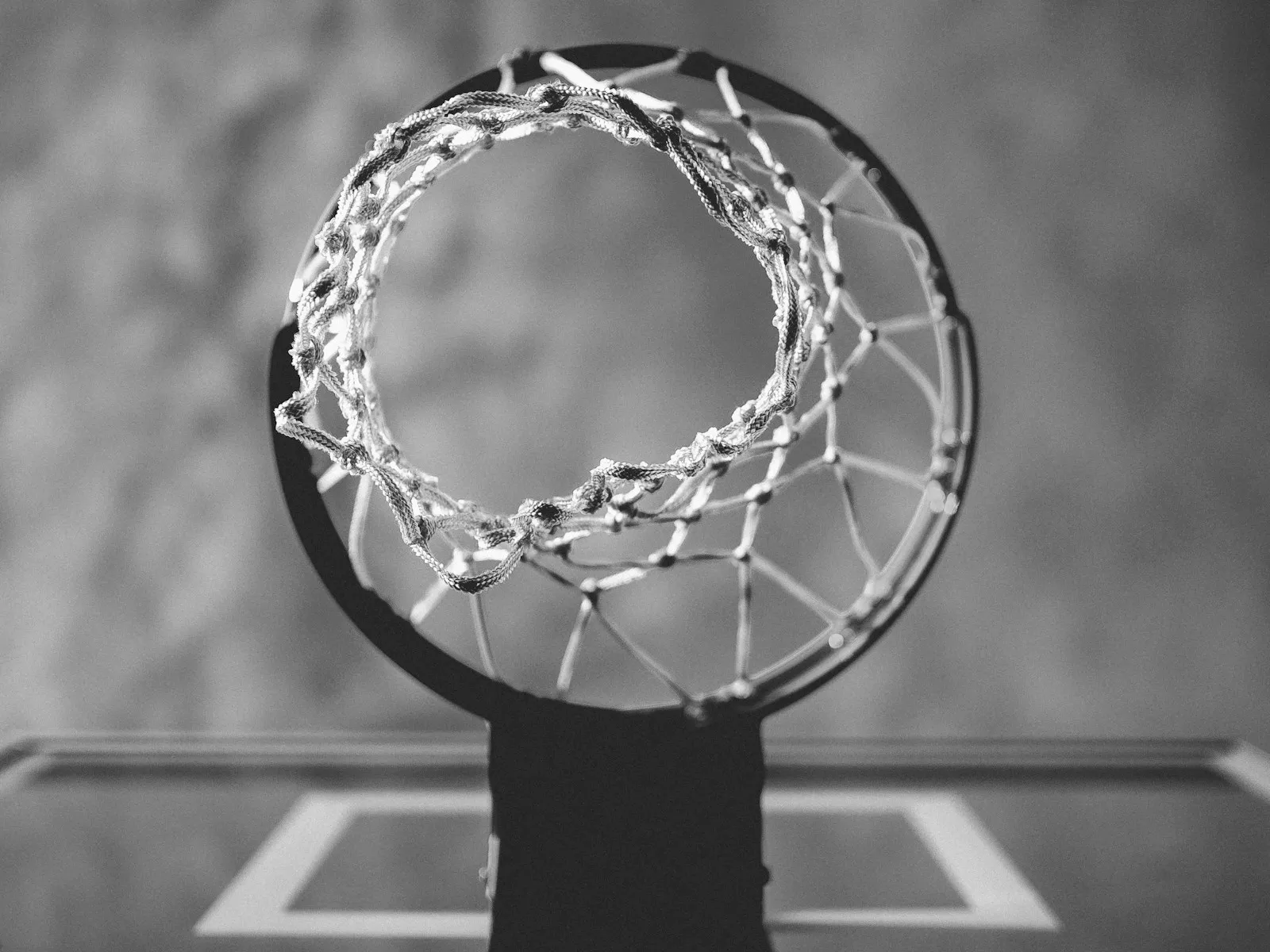 Palazzetto gremito durante una partita, fotografia d'archivio
