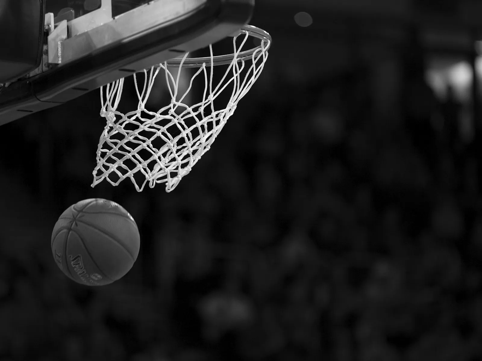 Squadra di pallacanestro in posa, fotografia d'archivio in bianco e nero